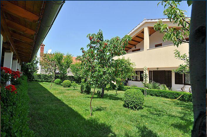 Apartment Pokrajac Rovinjsko Selo Rum bild